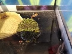 -昆明大悦城未来动物城(螺蛳湾中心店)