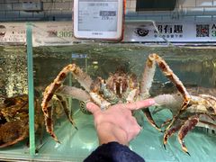 -超级物种(省府店)