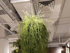 大堂-卖花卖汤(荣祥广场店)