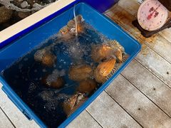 -海村海鲜酒店