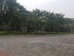 -深圳大学城（南区）体育中心-游泳馆