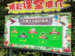 -广州长隆飞鸟乐园