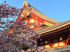 -浅草寺