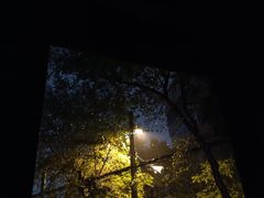 -流浪者复古西餐鸡尾酒吧(沈阳店)