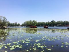 -小王府(什刹海店)