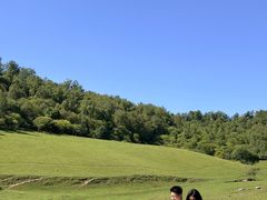 -关山草原