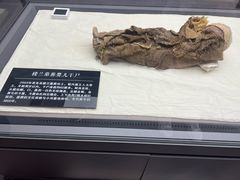 -巴音郭楞蒙古自治州博物馆