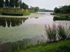 -东郊湿地公园