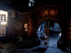 -泡桐树街