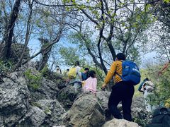 -紫金山山顶公园