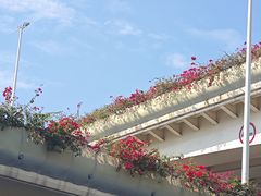 -诚如金·南宁本地菜(信息港店)