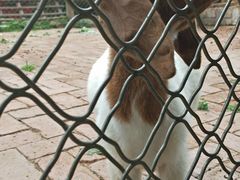 -静之湖湖畔餐厅