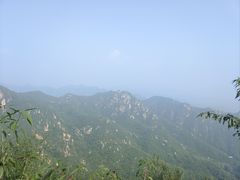 -大岭沟猕猴桃谷风景区