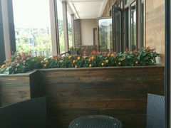 android_upload_pic-黔蘑菇四季餐厅(观山湖店)