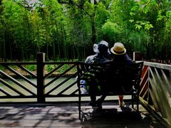 -同里国家湿地公园