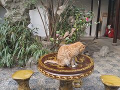 -西园戒幢律寺