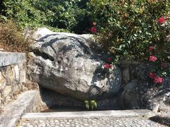 -东澳岛