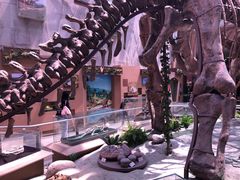 -陕西自然博物馆