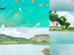 -水濂山森林公园