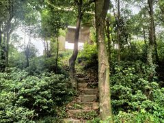 -梧桐山风景名胜区