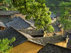 -杨家堂村