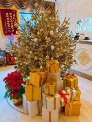 -蓓爱娇琪月子会所(虹口店)