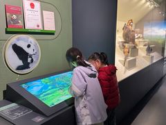 -四川大学博物馆