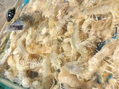 -即墨印象
