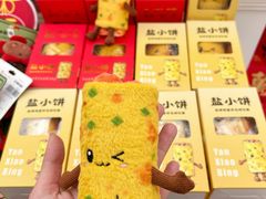 -荷兰花海