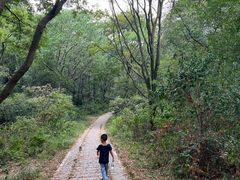 -青龙山国家森林公园