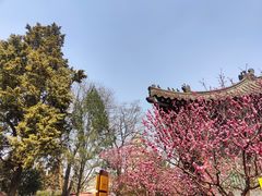 -大慈恩寺(大雁塔)