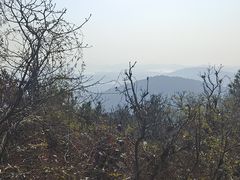 -惠山国家森林公园