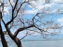 -大理洱海