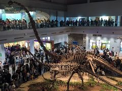 -自贡恐龙博物馆