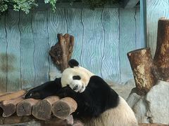 -海南热带野生动植物园