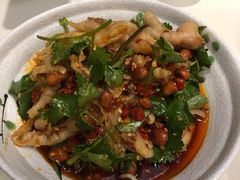 化骨绵掌-付掌柜在成都·热炒砂锅集(金禾店)