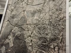 -中国地质大学逸夫博物馆