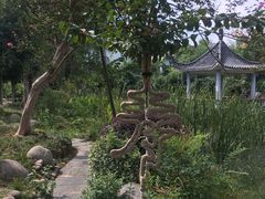 -武汉紫薇都市田园