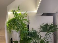 -伊斯坦布尔土耳其清真咖啡餐厅
