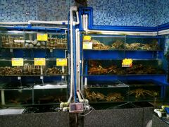 水产区-蚝专家(北滘店)