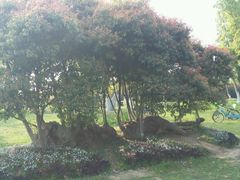 -艾溪湖湿地公园