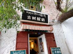 门面-古树酸奶(八廓南街店)