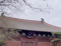 -善化寺