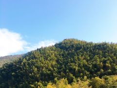 -宁波浙东大竹海景区
