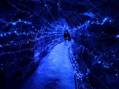 -融水老君洞景区