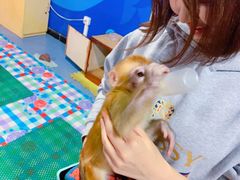 -秦皇岛新澳海底世界