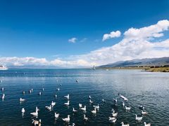 -青海湖国家重点风景名胜区