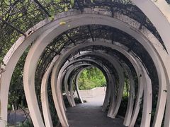 -西安世博园