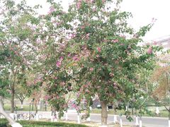 -北京师范大学(珠海校区)