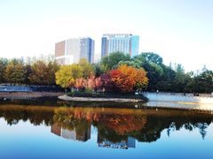 -大望京公园